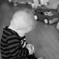 Gal_131805_0002 copy